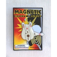 Magnet Anstecker