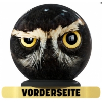 Crazy Owl - One The Ball Bowlingball