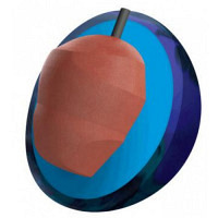 Envision Pearl Ebonite Bowlingball 